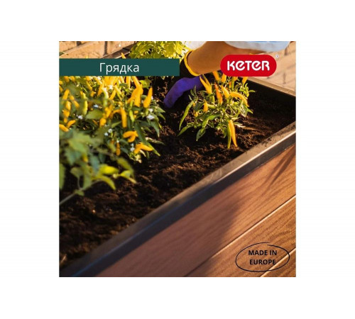 Кашпо-грядка для растений Keter Maple green house коричневый 249295 Кашпо-грядка для растений Keter Maple green house коричневый 249295