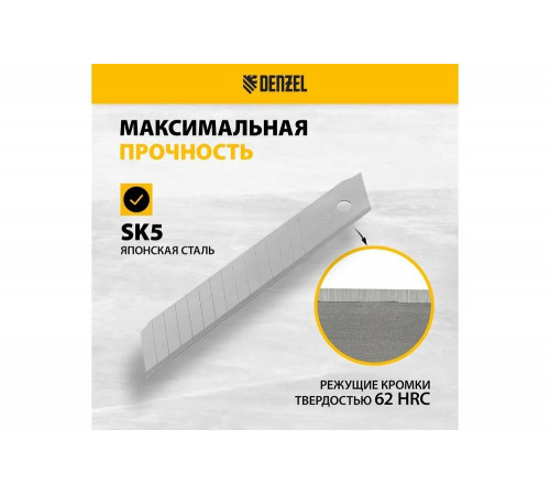 Лезвия 18 мм, сталь SK5, 0.5 мм, многосегментные, 10 шт Denzel 79304 Лезвия 18 мм, сталь SK5, 0.5 мм, многосегментные, 10 шт Denzel 79304