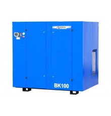 Компрессор Remeza ВК 100-10 УТ-00000439