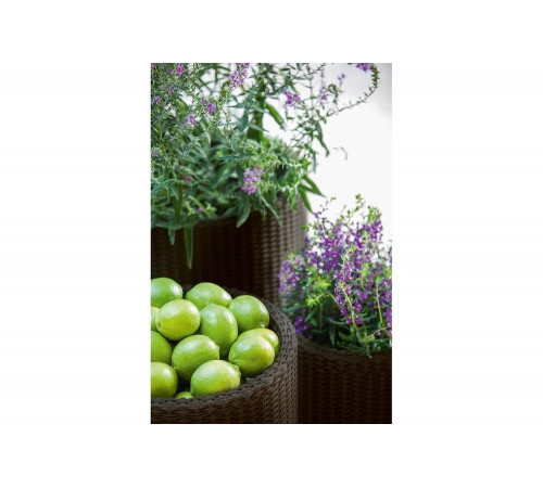 Комплект кашпо Keter CYLINDER PLANTERS S+M+L, графит 230217