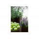 Комплект кашпо Keter CYLINDER PLANTERS S+M+L, графит 230217