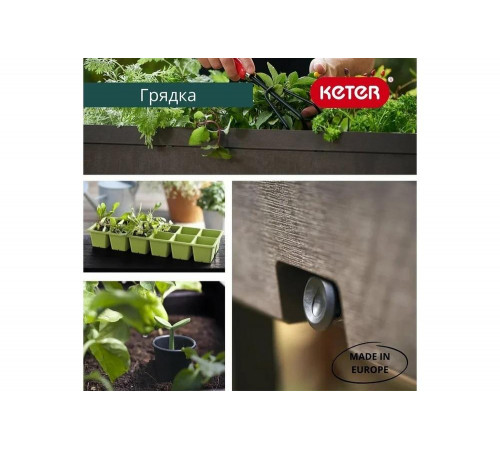 Кашпо-грядка для растений Keter Urban Bloomer XL 242856
