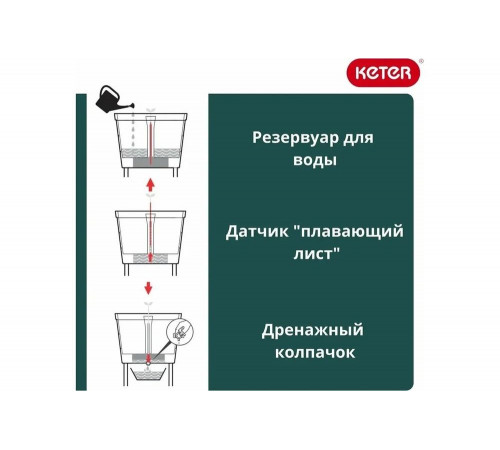 Кашпо-грядка для растений Keter Urban Bloomer XL 242856