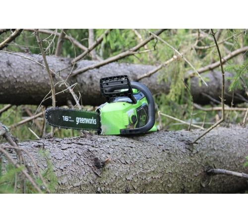 Аккумуляторная цепная пила Greenworks GD40CS18 40 см, АКБ 6 А*ч, ЗУ 2005807UF Аккумуляторная цепная пила Greenworks GD40CS18 40 см, АКБ 6 А*ч, ЗУ 2005807UF