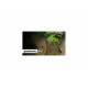Аккумуляторная бесщеточная цепная пила Greenworks GD60CS40 2001807