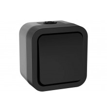 Переключатель одноклавишный IEK Tors 10а ip55 ts101 графит TS-V10-0-10-55-K53