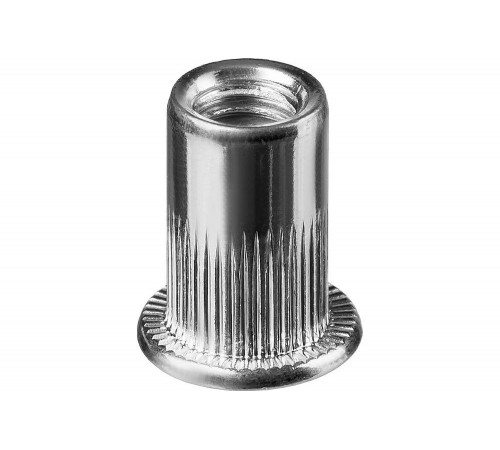 KRAFTOOL М3, 1500 шт., стальные с насечками, резьбовые заклепки Nut-S 311707-03 KRAFTOOL М3, 1500 шт., стальные с насечками, резьбовые заклепки Nut-S 311707-03