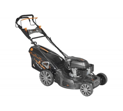 Бензиновая газонокосилка CARVER LMG-4256DMS 01.024.00023 Бензиновая газонокосилка CARVER LMG-4256DMS 01.024.00023