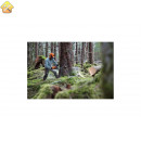 Бензопила Stihl MS 462 C-M 20" Rollomatic ES Light 11422000127