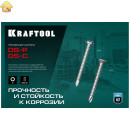 KRAFTOOL 13 х 3.5 мм, 1000 шт., нержавеющие саморезы DS-P с полукруглой головкой 300931-35-013