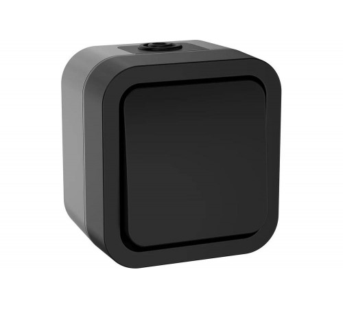 Переключатель одноклавишный IEK Tors 10а ip55 ts101 графит TS-V10-0-10-55-K53