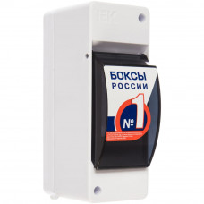 Бокс IEK MKP42-N-02-30-20