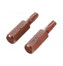 Бита (2 шт; T20; 25 мм) PATRIOT 818010019