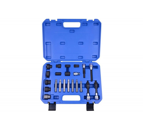 Набор специальных головок для ремонта генератора, 22 предмета KING TONY 9DA022