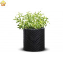 Кашпо KETER Cylinder Planter S графит 229120