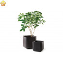 Кашпо Keter CUBE PLANTER M, 22 л, коричневый 230226