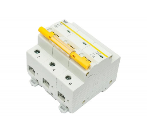 Автоматический выключатель IEK ВА47-100