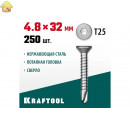 KRAFTOOL 32 х 4.8 мм, 250 шт., нержавеющие саморезы DS-C с потайной головкой 300932-48-032