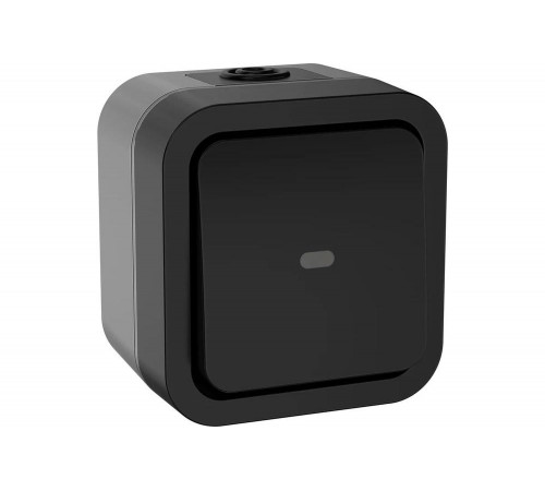 Переключатель одноклавишный IEK Tors с индикацией 10а ip55 ts102 графит TS-V10-1-10-55-K53