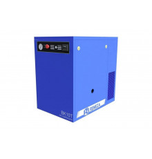 Компрессор Remeza ВК 10Т-10 8100900