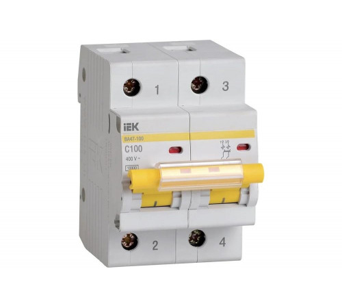 Автоматический выключатель IEK ВА 47-100