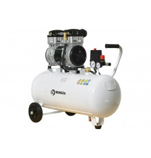 Компрессор Remeza сб4/c-50.old20-3/10 3046650